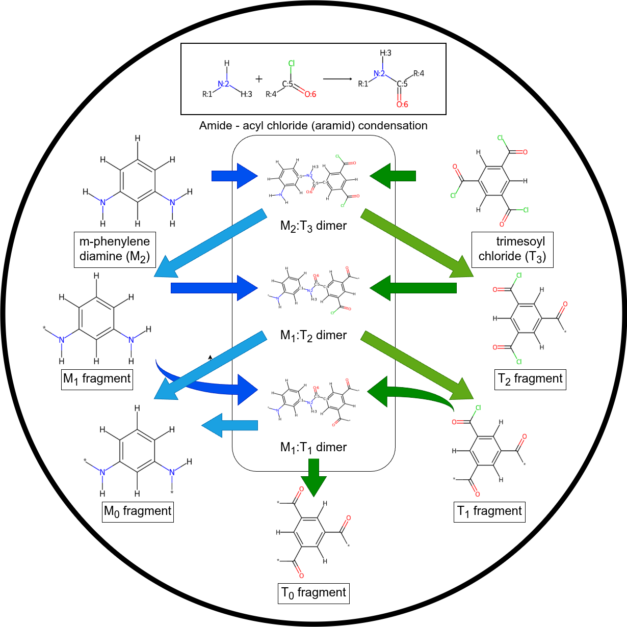 _images/polymerization_rxn_enum_graphic_TOC.png